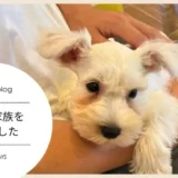 【朝日ブログ】新しい家族をお迎えしました