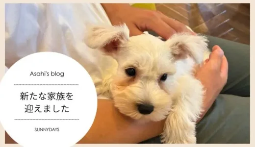 【朝日ブログ】新しい家族をお迎えしました