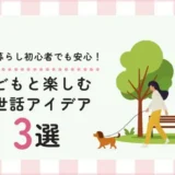 犬との暮らし初心者でも安心！子どもと楽しむお世話アイデア3選